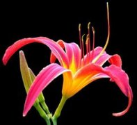 2014年的母親節即將來臨